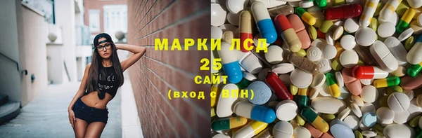гашик Ладушкин