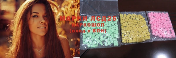гашик Ладушкин