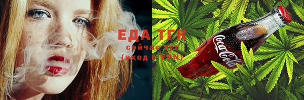 гашик Ладушкин