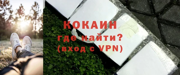 гашик Ладушкин