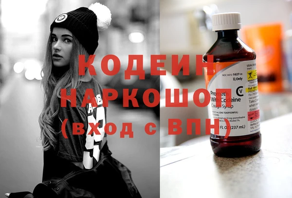 гашик Ладушкин