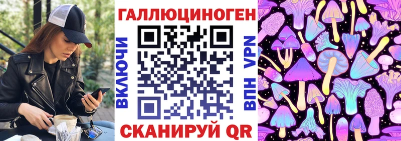закладки  Сольцы  Псилоцибиновые грибы Magic Shrooms 