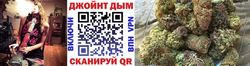 Каннабис план  купить наркоту  Сольцы 